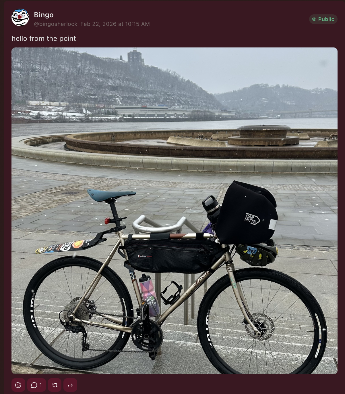 Screenshot: Post with reactions