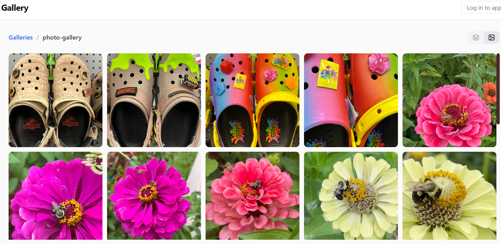 Screenshot: Public web gallery view